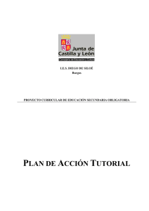 Plan de Acción Tutorial. I.E.S. Diego de Siloé. Burgos