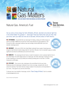 Natural GasMatters - Texas Gas Service