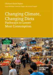 Changing Climate, Changing Diets: Pathways to Lower Meat