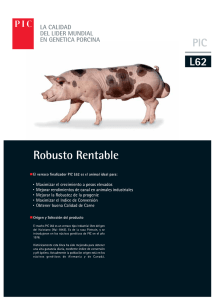 Robusto Rentable