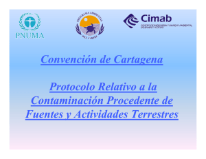 Anexo 3 - Perez - Convencion y Protocolo FTCM