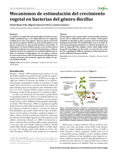 Mecanismos de estimulación del crecimiento vegetal en bacterias