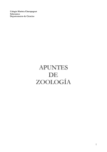 apuntes de zoología - Maristas Compostela