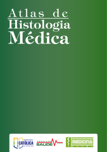 atlas de histologia2 - Medicina - Universidade Católica de Pelotas