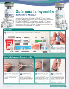 Guía para la inyección