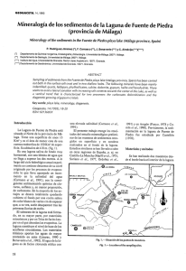 Mineralogía de los sedimentos de la Laguna de Fuente de Piedra