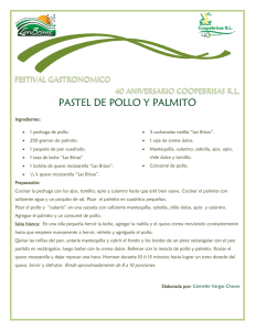 PASTEL DE POLLO Y PALMITO