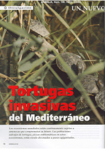 Tortugas invasivas del mediterràneo