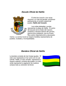 La Bandera y Escudo - Municipio de Hatillo