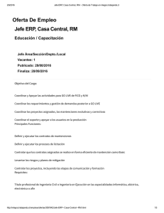 Oferta De Empleo Jefe ERP, Casa Central, RM