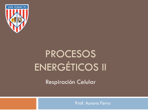 Procesos Energéticos II