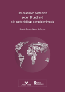 Del desarrollo sostenible seg&uacute;n Brundtland a la