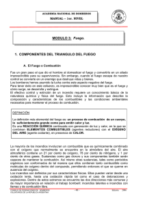 1. COMPONENTES DEL TRIANGULO DEL FUEGO MODULO 3