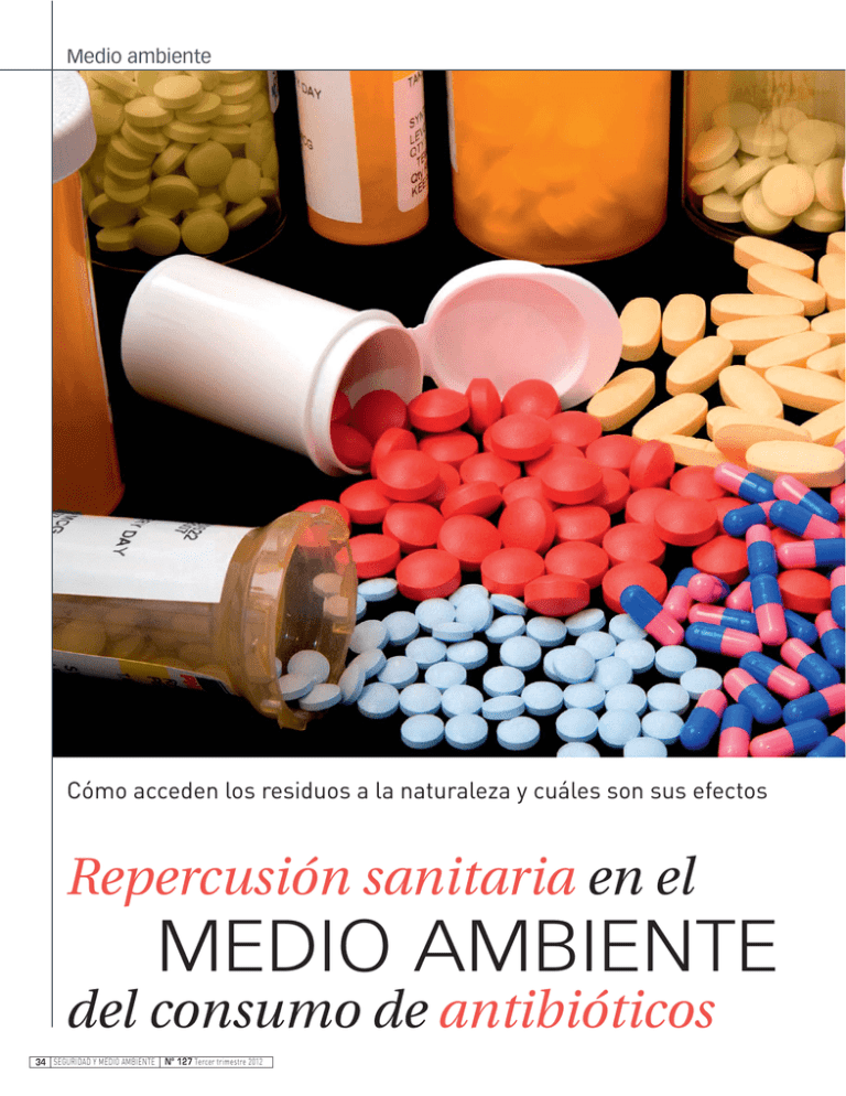 Medio Ambiente