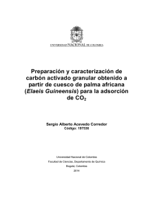 Preparación y caracterización de carbón activado granular obtenido