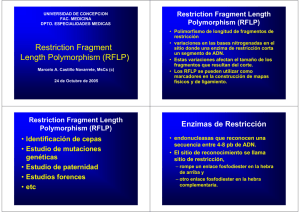 Restriction Fragment Length Polymorphism (RFLP)
