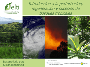 Introducción a la perturbación, regeneración y sucesión de bosques