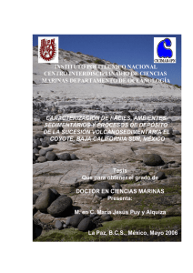 caracterizaci&oacute;n de facies, ambientes sedimentarios y procesos de