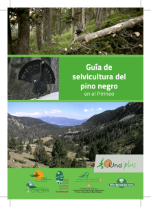 Guía de selvicultura del pino negro - FiDBosc