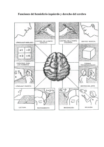 Funciones del hemisferio izquierdo y derecho del cerebro
