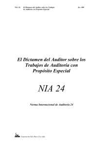 SEC-800 Dictamen auditor compromisos auditoria proposito especial