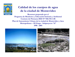 Calidad de los cuerpos de agua de la ciudad de Montevideo