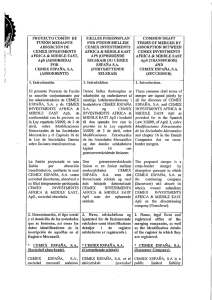 Proyecto común de fusión transfronteriza mediante