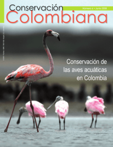 Conservación de las aves acuáticas en Colombia