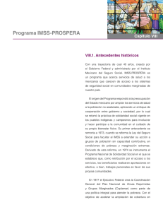 VIII. Programa IMSS
