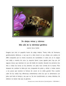 De abejas reinas y obreras: Más allá de la identidad genética