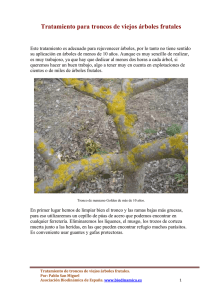 Tratamiento para troncos de viejos árboles frutales