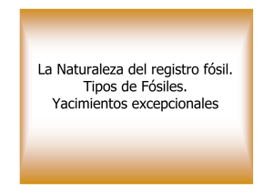 La Naturaleza del registro fósil. Tipos de Fósiles