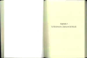 6.-CAPITULO 3-LA INTERPRETACION Y