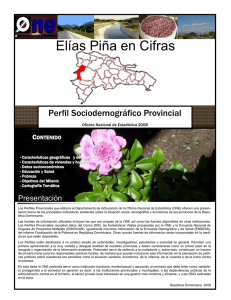 PERFIL PROVINCIAL NUEVO FORMATO ELIAS PIÑA