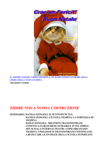 zidire noua nuova costruzione - Associazione Italia