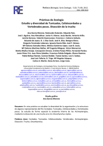 Estudio y diversidad de Tunicados, Cefalocordados y Vertebrados