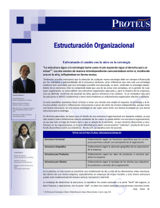 Newsletter Estructura Organizacional - Proteus