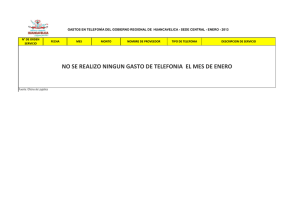 no se realizo ningun gasto de telefonia el mes de enero