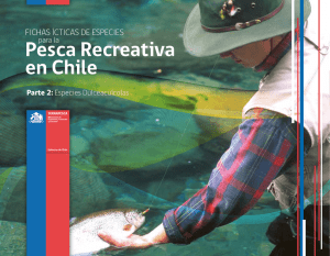 en Chile Pesca Recreativa