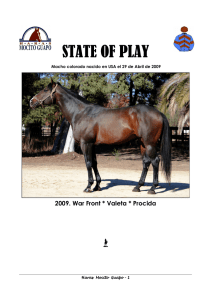 State Of Play - Haras Mocito Guapo