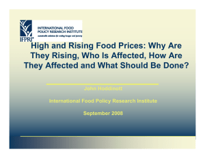 High and Rising Food Prices: Why Are They Rising, Who Is Affected