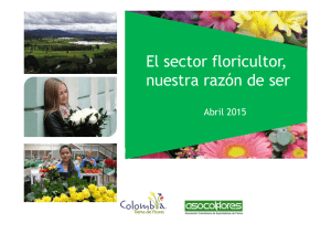 Asocolflores y su gestión apoyando al sector floricultor