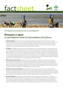 Bosques y agua - Center for International Forestry Research