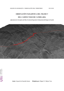 ordenación paisajística del tramo v del camino viejo de candelaria