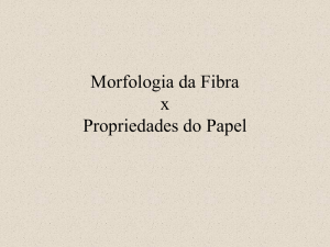 Morfologia da fibra X Propriedades do papel