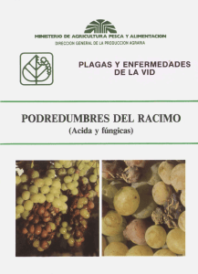 Artículo en PDF - Ministerio de Agricultura, Alimentación y Medio