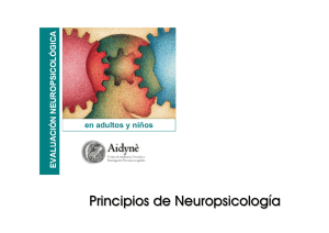 Principios Neuropsicologia y neuroanatomía.
