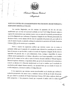 Voto razonado de dos Magistrados del TSE sobre proceso de