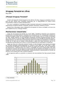 Uruguay forestal en cifras - Inversiones Forestales en Uruguay