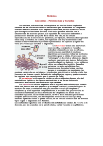 Botánica Lisosomas - Peroxisomas y Vacuolas